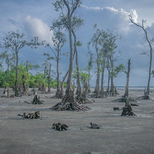 kuakata natural image 12 1.jpg