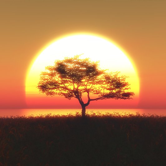 kuakata natural image 2 2.jpg