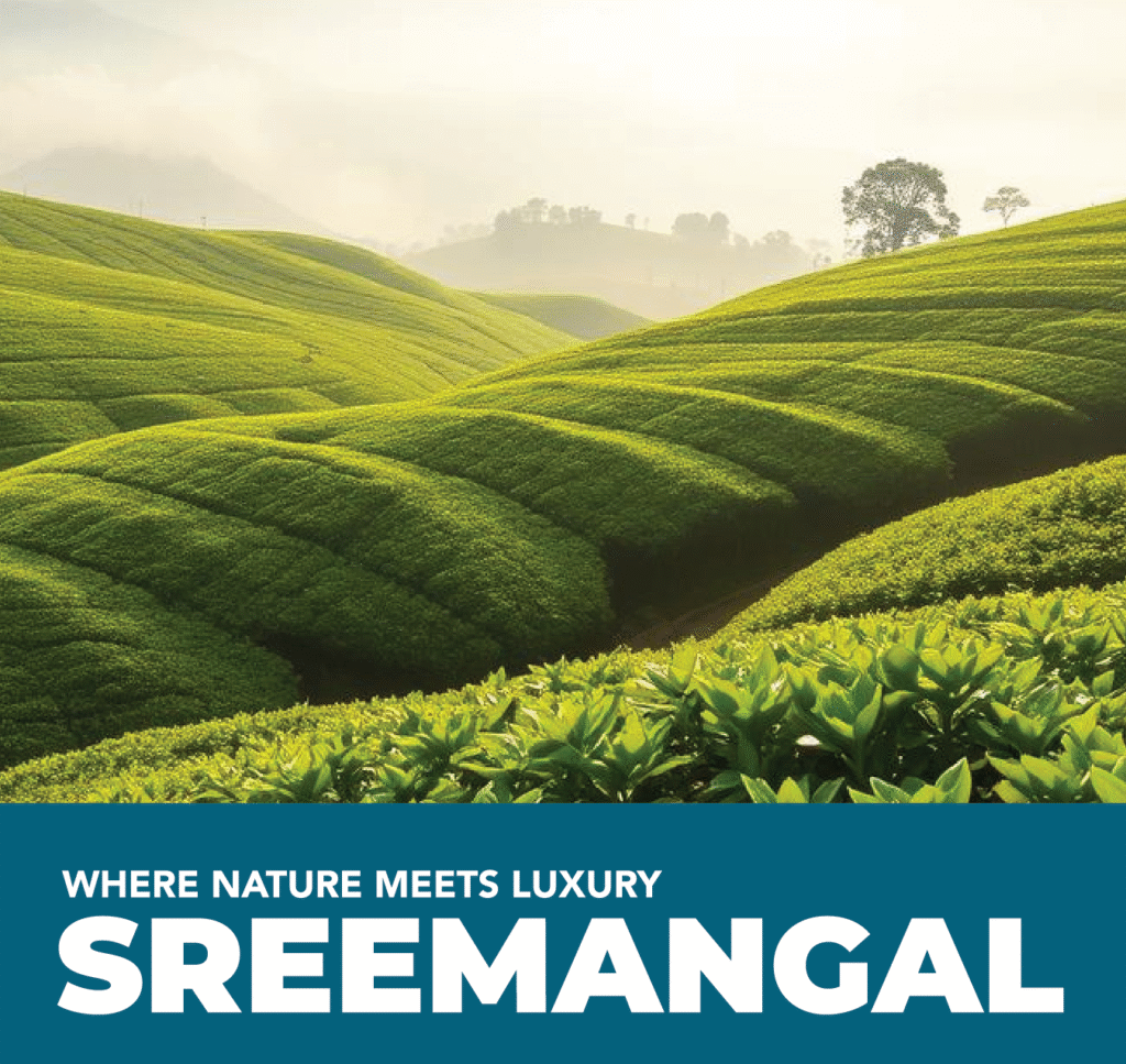 terra prime brochure v 1 for print 03