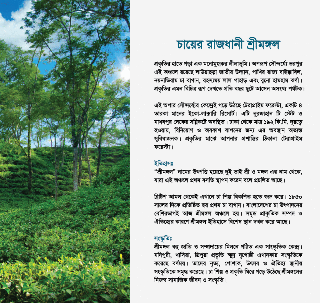 terra prime brochure v 1 for print 06