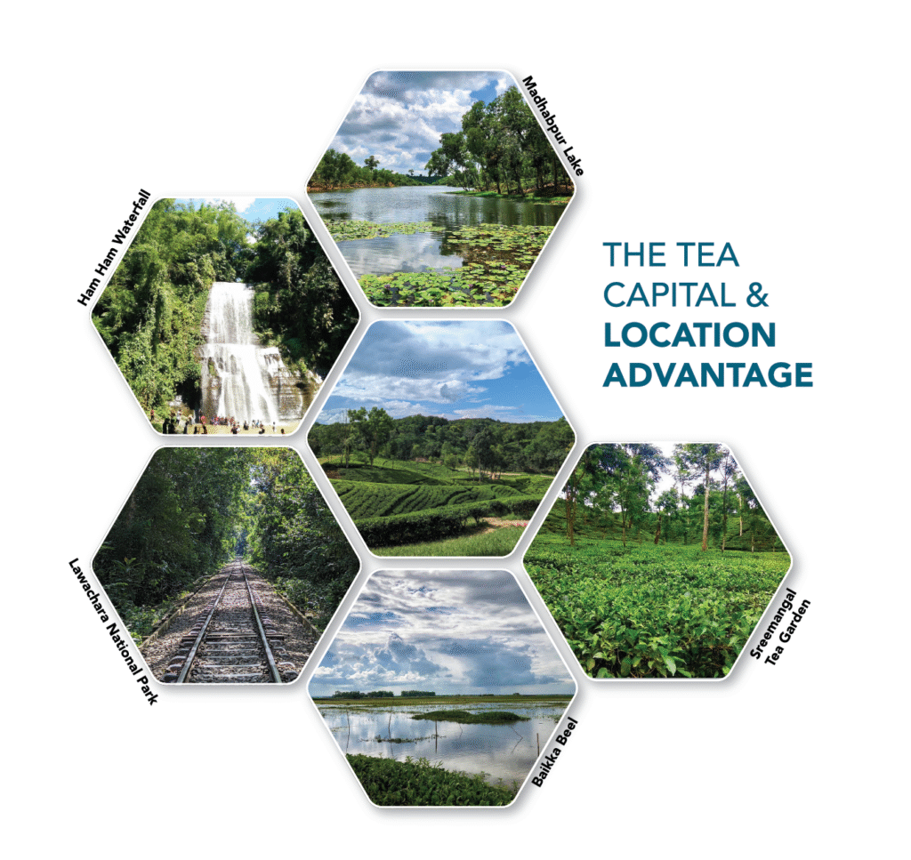 terra prime brochure v 1 for print 07